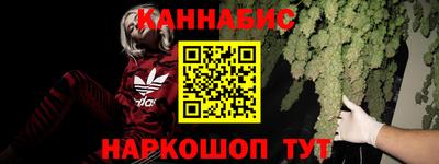 дмт Гусев