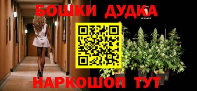 дмт Гусев